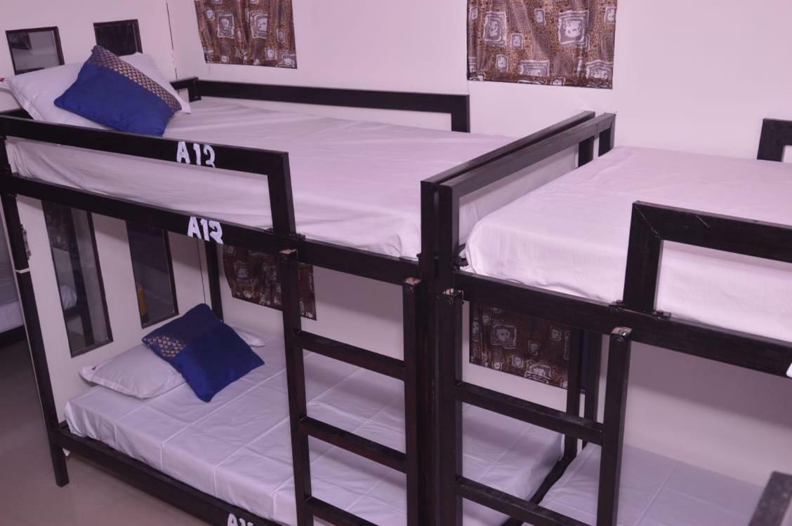 Citybackpacker Hostel ニューデリー エクステリア 写真